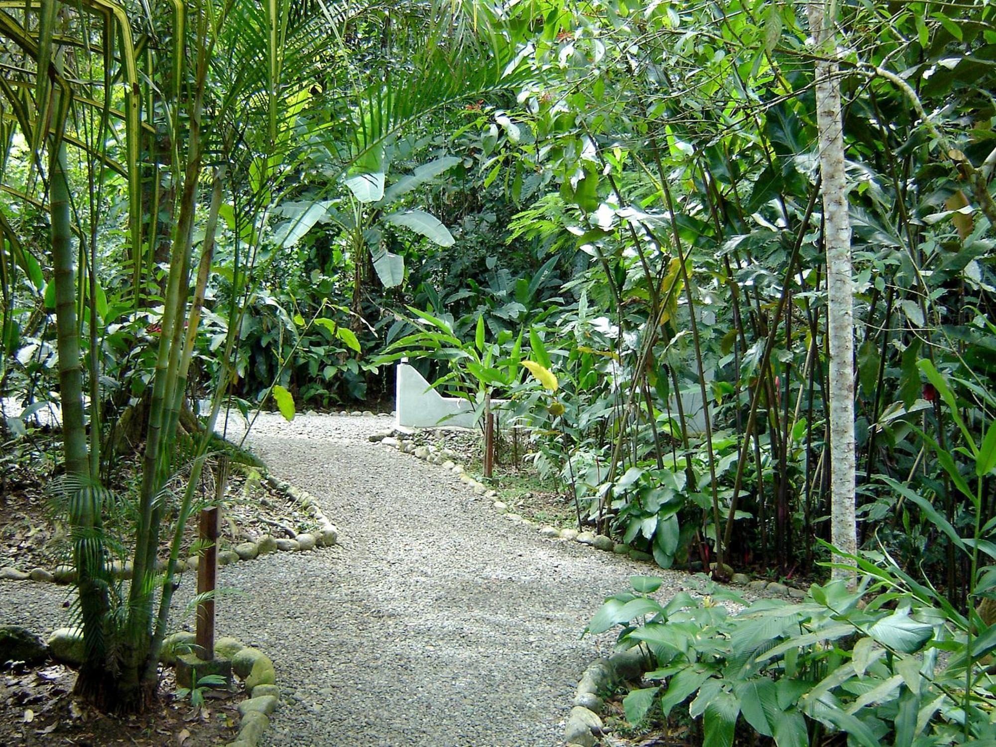 El Colibri Lodge Manzanillo (Limon) Exterior foto