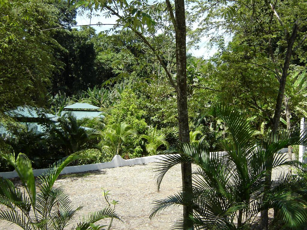 El Colibri Lodge Manzanillo (Limon) Exterior foto
