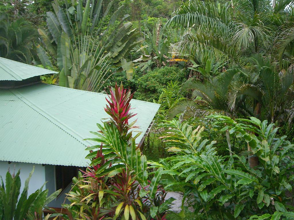 El Colibri Lodge Manzanillo (Limon) Exterior foto